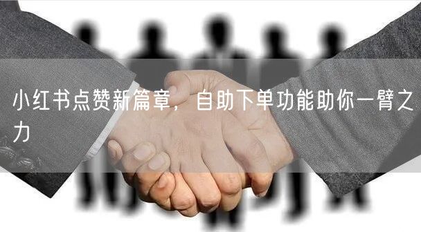 小红书点赞新篇章，自助下单功能助你一臂之力