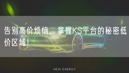 告别高价烦恼，掌握KS平台的秘密低价区域！