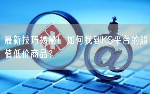 最新技巧揭秘！如何找到KS平台的超值低价商品？