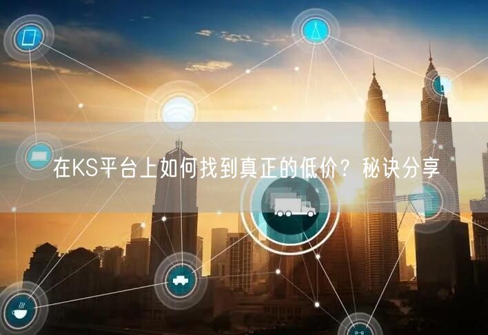 在KS平台上如何找到真正的低价？秘诀分享