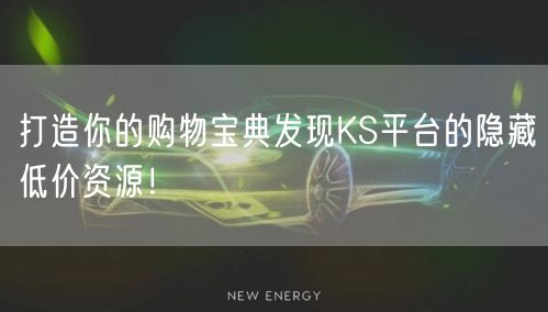 打造你的购物宝典发现KS平台的隐藏低价资源！