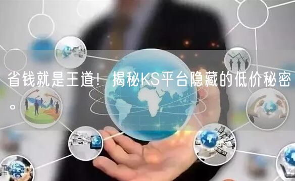 省钱就是王道！揭秘KS平台隐藏的低价秘密。