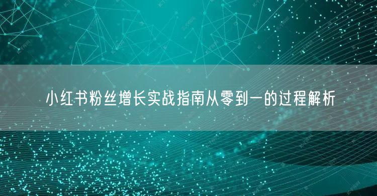 小红书粉丝增长实战指南从零到一的过程解析