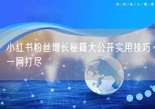 小红书粉丝增长秘籍大公开实用技巧一网打尽