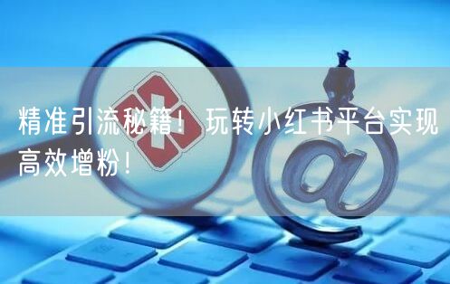 精准引流秘籍！玩转小红书平台实现高效增粉！