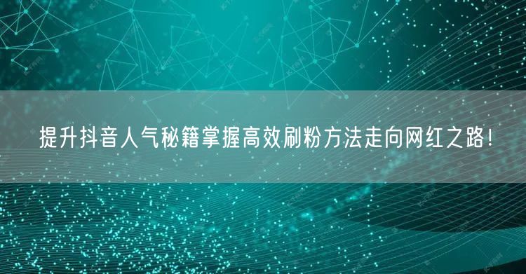 提升抖音人气秘籍掌握高效刷粉方法走向网红之路！