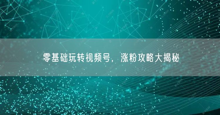 零基础玩转视频号，涨粉攻略大揭秘