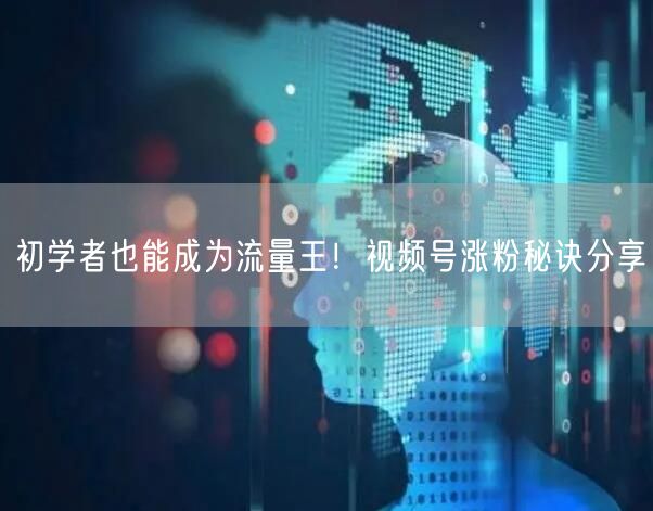 初学者也能成为流量王！视频号涨粉秘诀分享