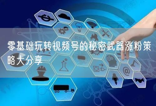 零基础玩转视频号的秘密武器涨粉策略大分享