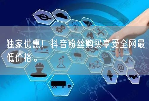 独家优惠！抖音粉丝购买享受全网最低价格。