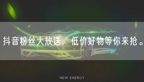 抖音粉丝大放送，低价好物等你来抢。