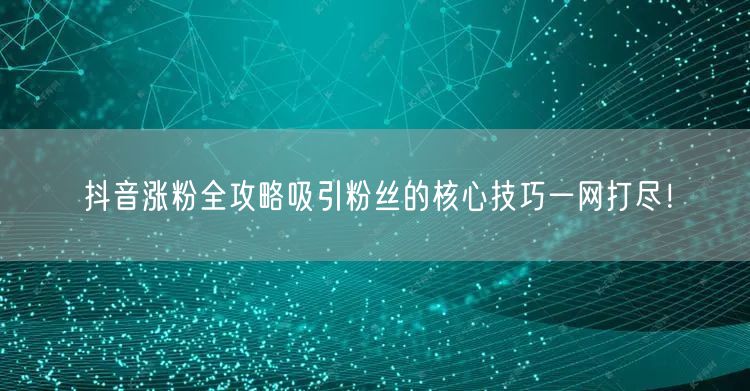 抖音涨粉全攻略吸引粉丝的核心技巧一网打尽！