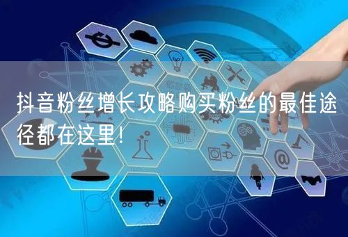 抖音粉丝增长攻略购买粉丝的最佳途径都在这里！