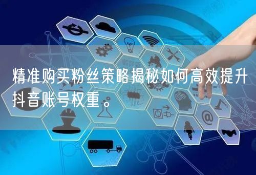 精准购买粉丝策略揭秘如何高效提升抖音账号权重。