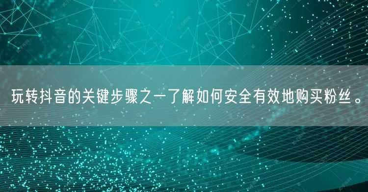 玩转抖音的关键步骤之一了解如何安全有效地购买粉丝。