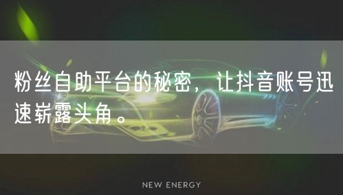 粉丝自助平台的秘密，让抖音账号迅速崭露头角。