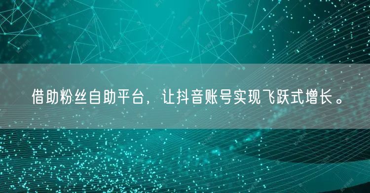 借助粉丝自助平台，让抖音账号实现飞跃式增长。