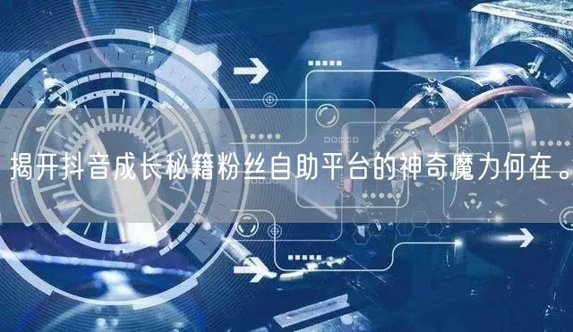 揭开抖音成长秘籍粉丝自助平台的神奇魔力何在。